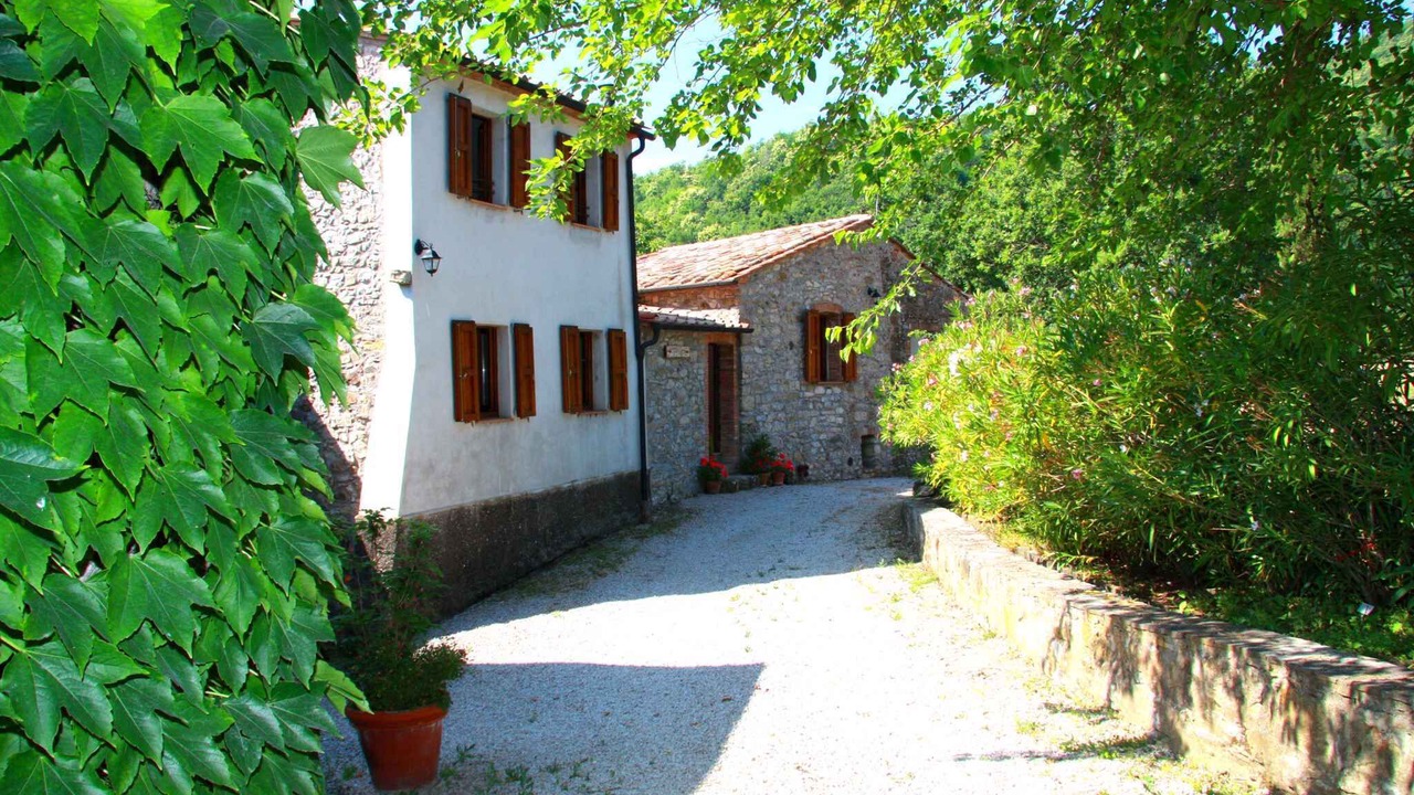 Photo of Others in Montieri