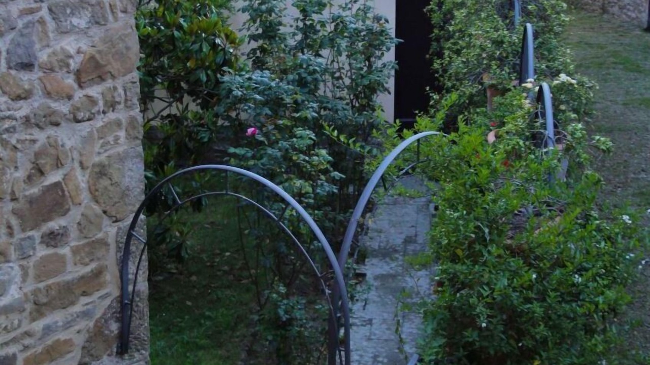 Photo of Outdoor in Palazzuolo Alto