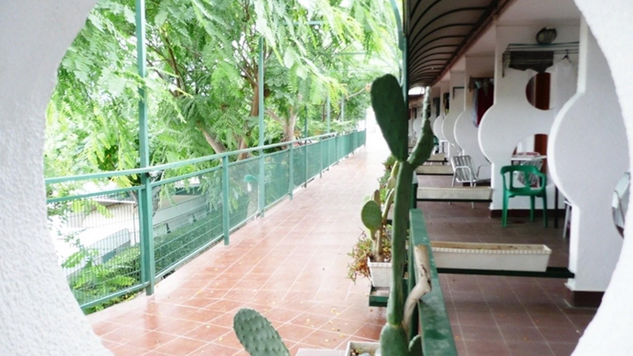 Photo of Patio Balcony in Miami Platja