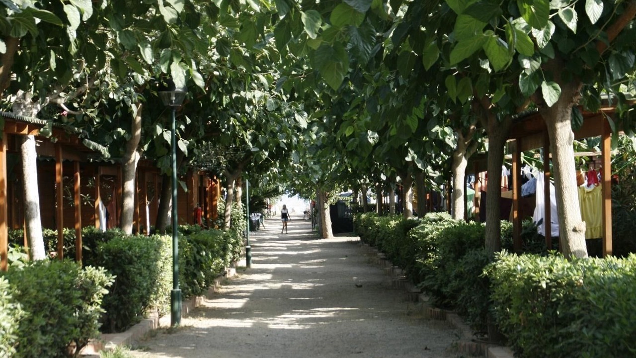 Photo of Outdoor in Miami Platja