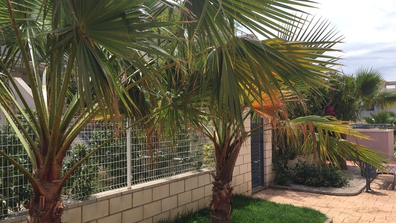 Photo of Outdoor in San Jorge