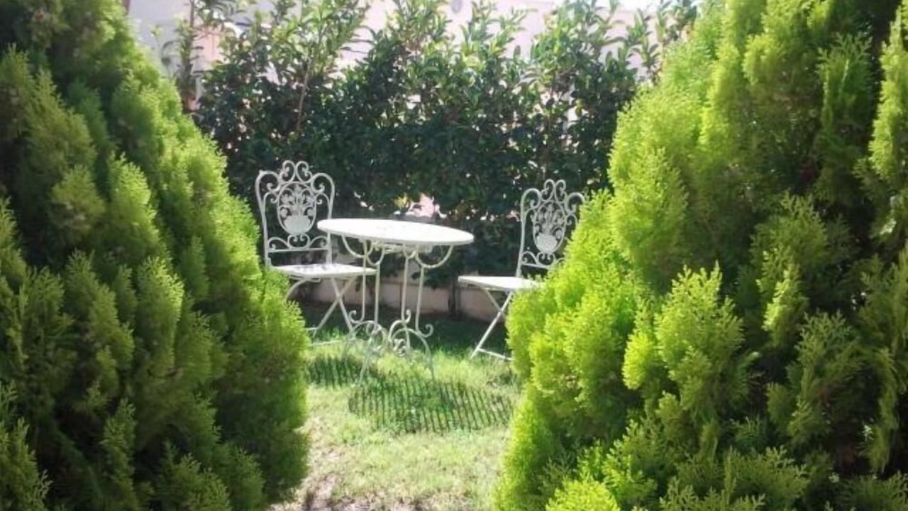 Photo of Outdoor in San Jorge