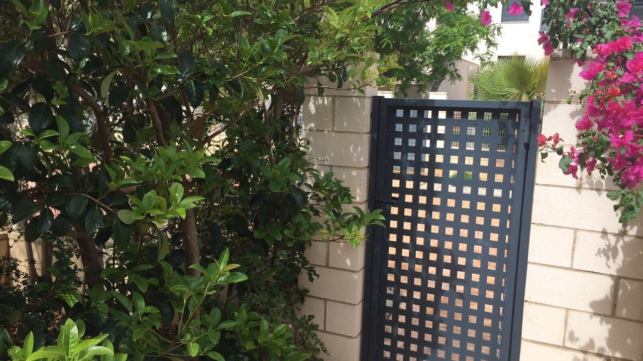 Photo of Outdoor in San Jorge