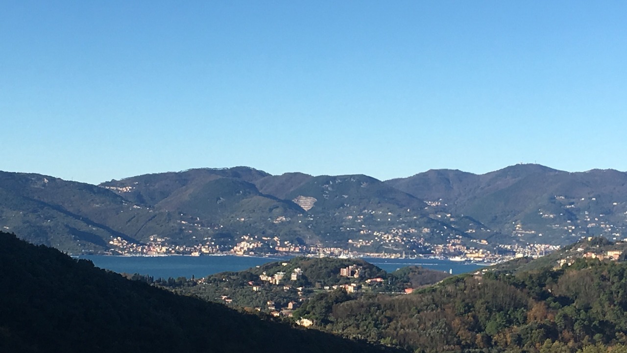 Photo of Others in Lerici
