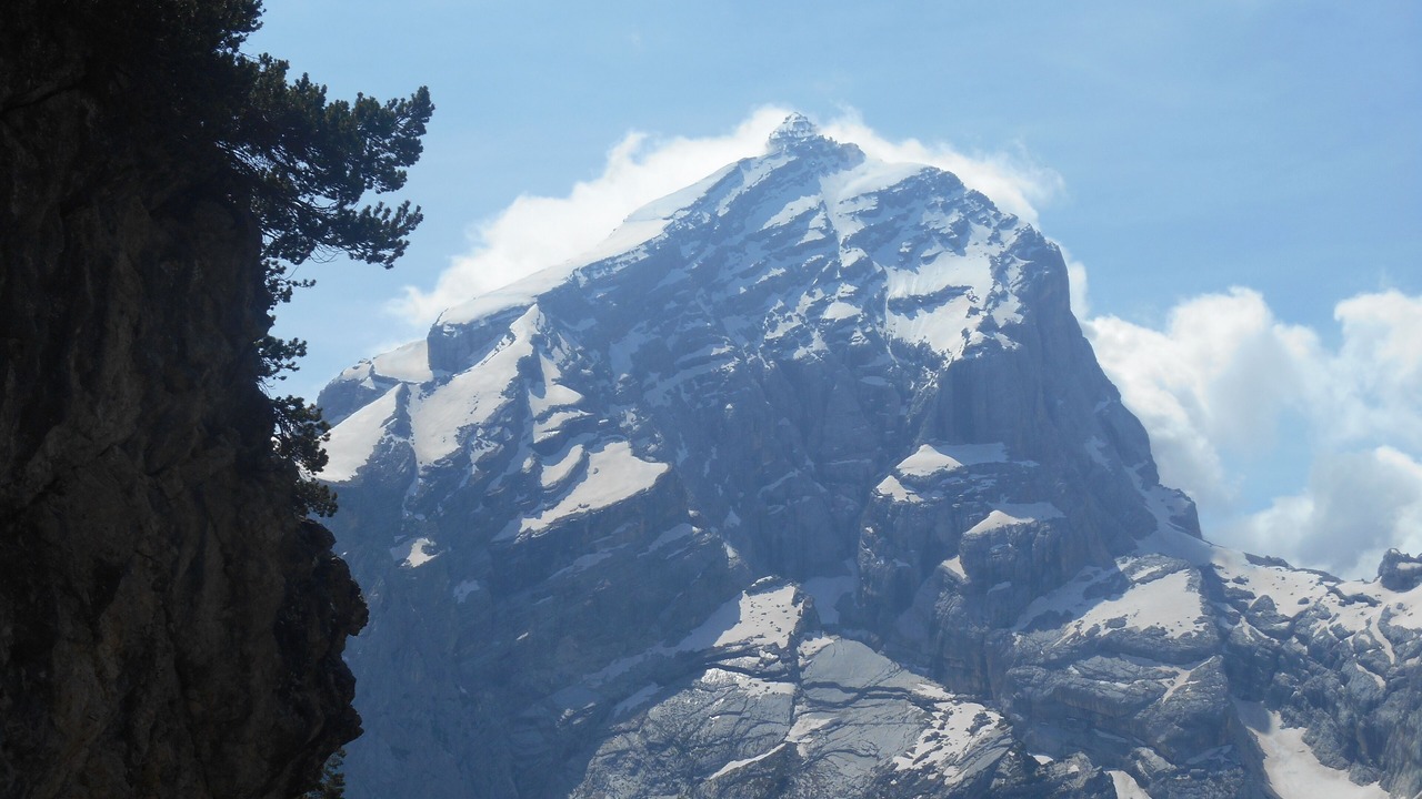 Photo of Outdoor in Borca di Cadore