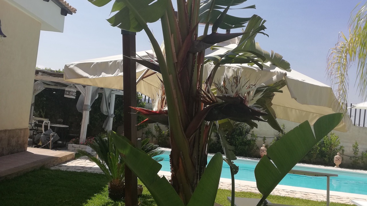 Photo of Outdoor in Epipoli