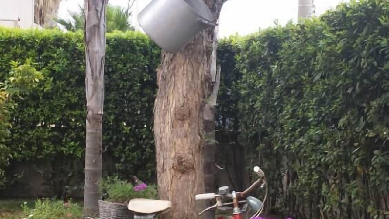 Photo of Outdoor in Epipoli
