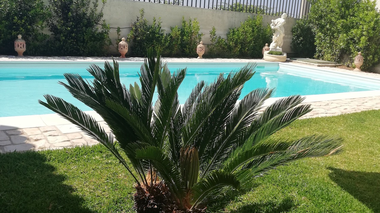 Photo of Outdoor in Epipoli