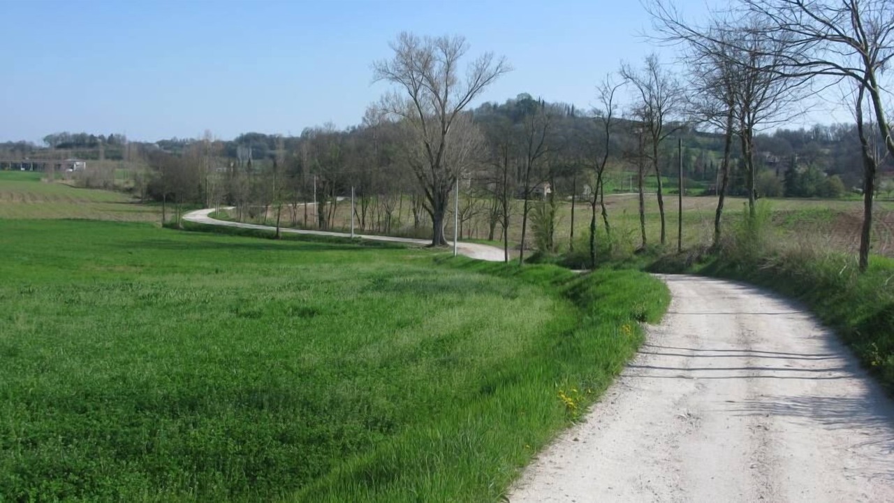 Photo of Outdoor in Monzambano
