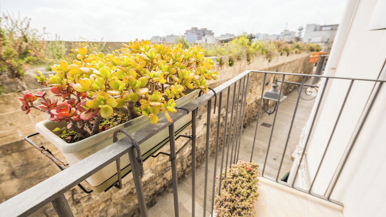 Photo of Outdoor in Centro Storico