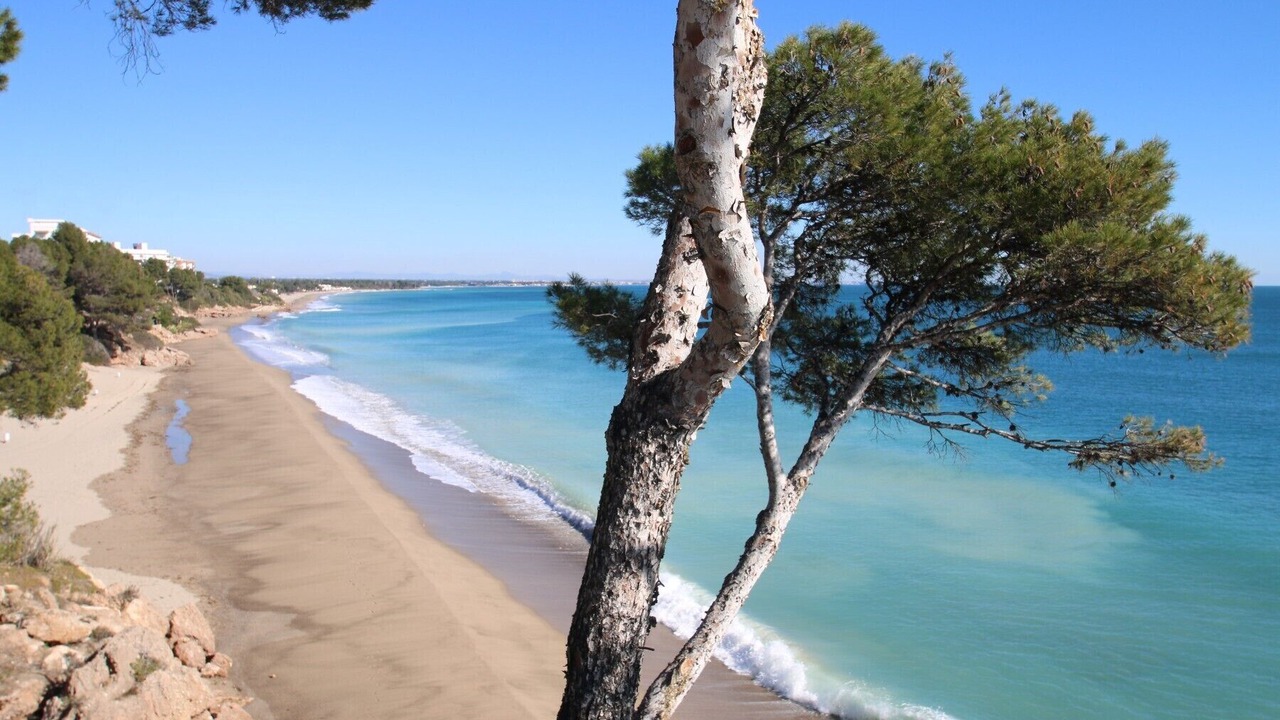 Photo of Others in Miami Platja