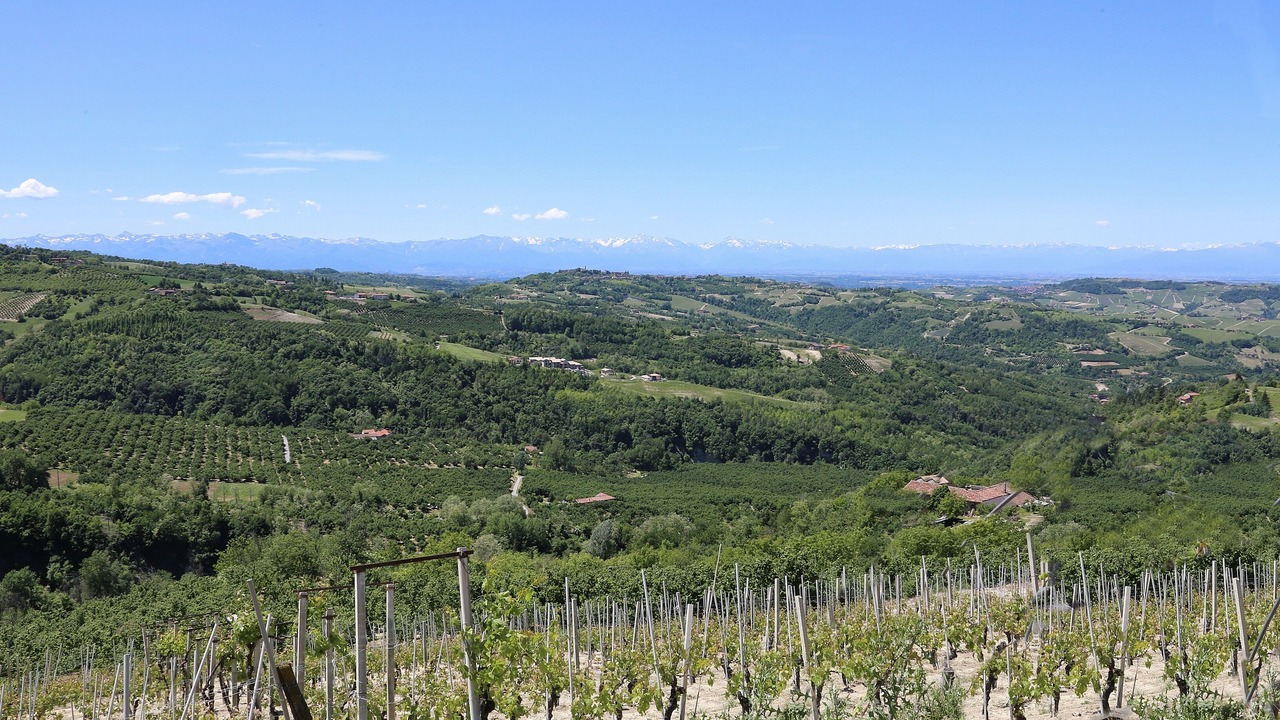 Photo of Outdoor in Albaretto della Torre
