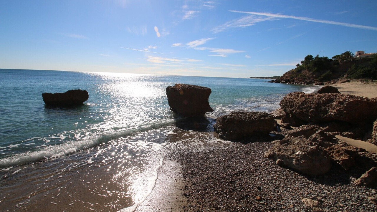 Photo of Others in Miami Platja
