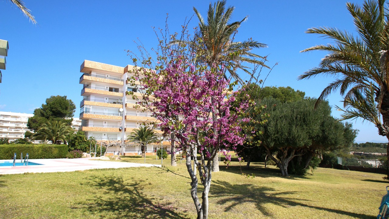 Photo of Outdoor in Miami Platja