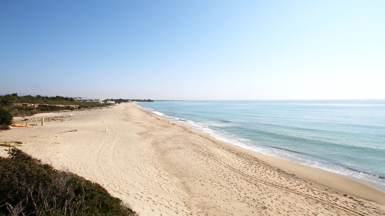 Photo of Others in Miami Platja