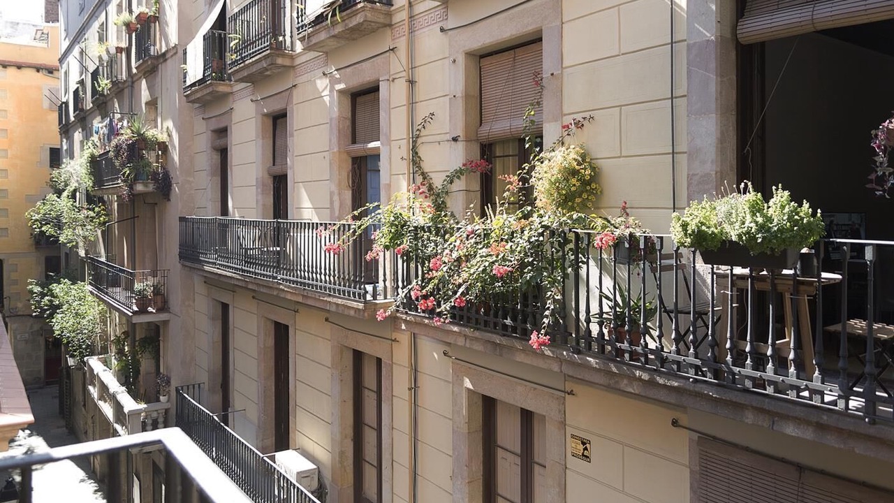 Photo of Outdoor in El Born
