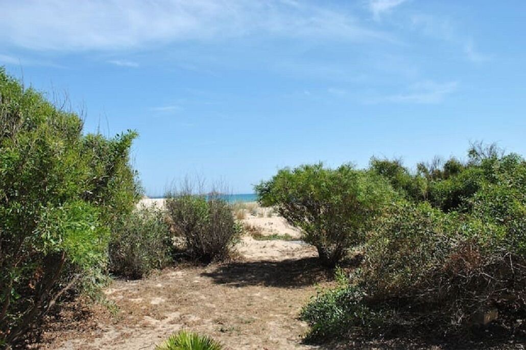 Photo of Others in Portopalo di Capo Passero