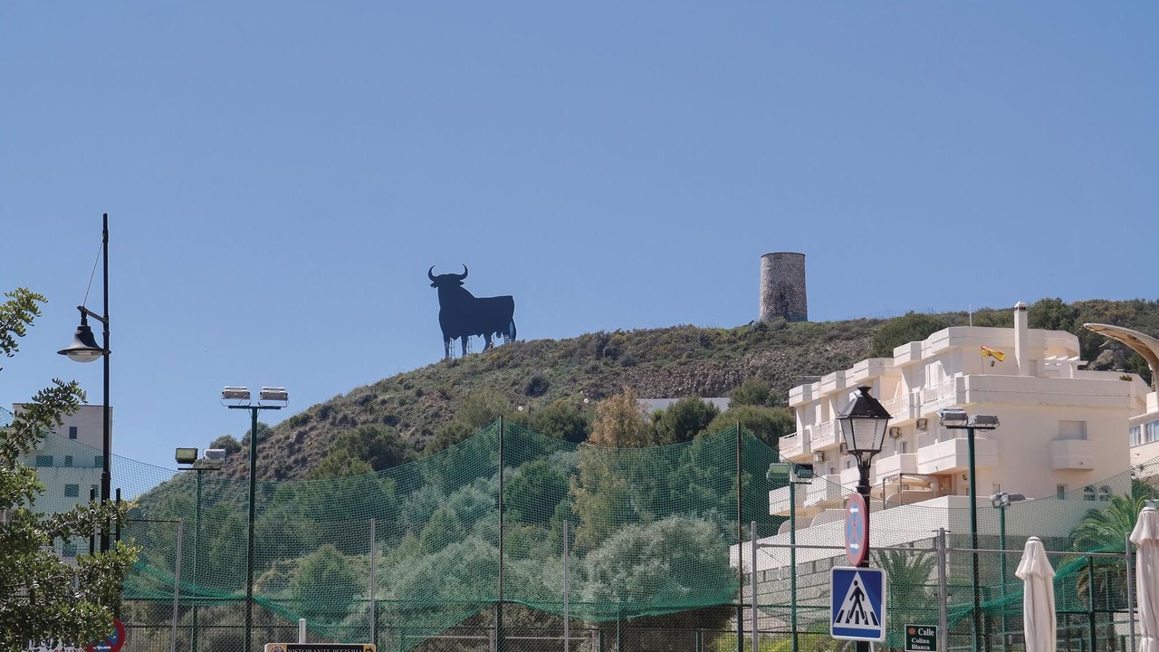 Photo of Others in Torreblanca