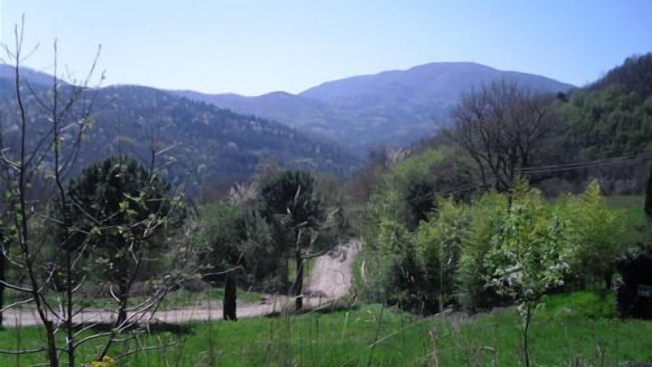 Photo of Outdoor in Montieri