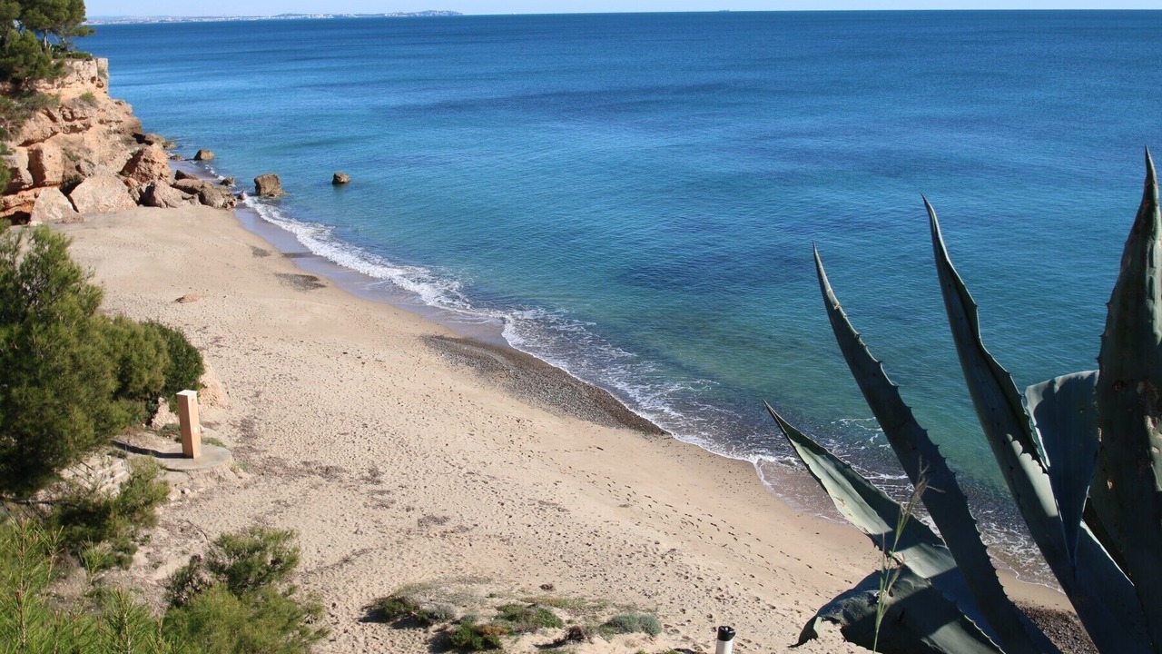 Photo of Others in Miami Platja