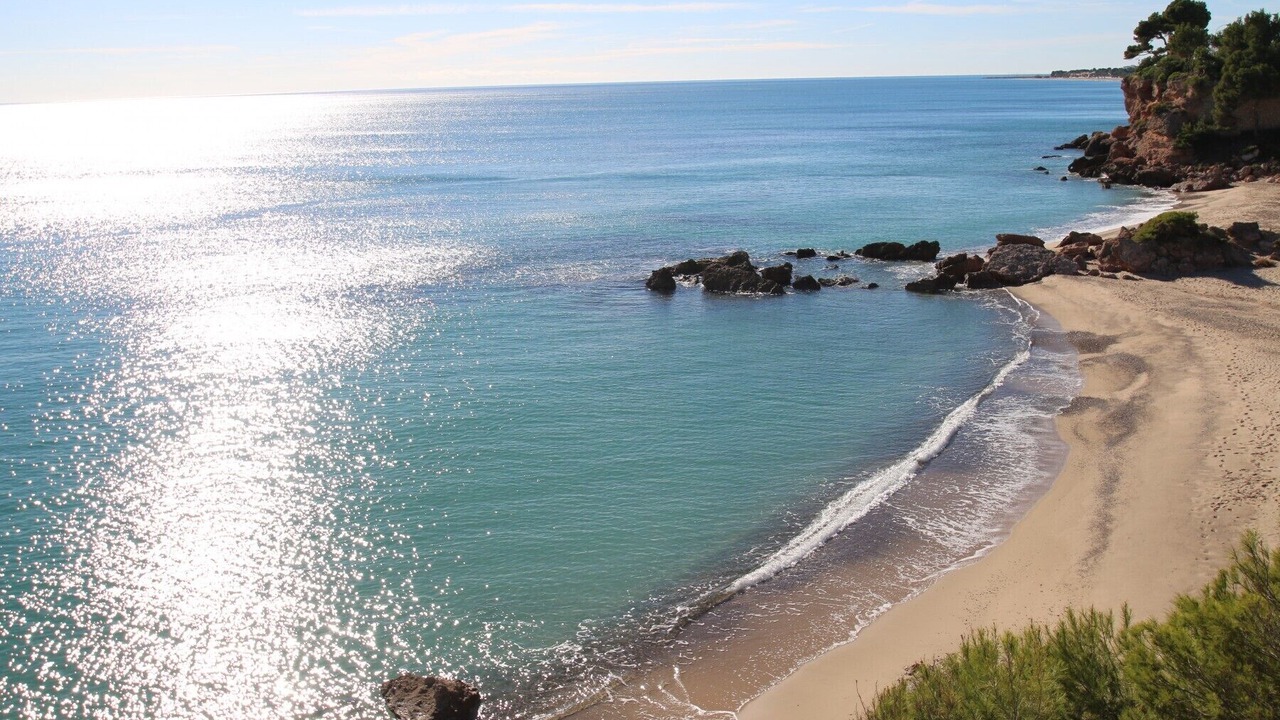 Photo of Others in Miami Platja