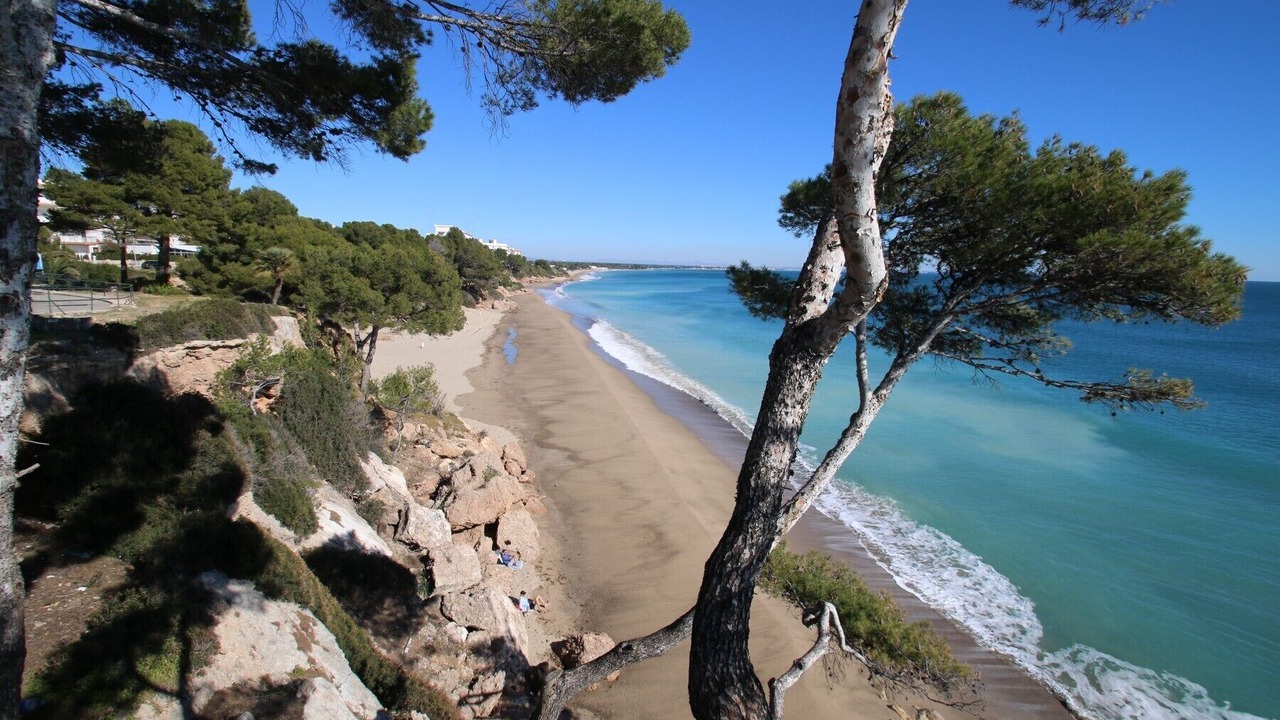 Photo of Others in Miami Platja