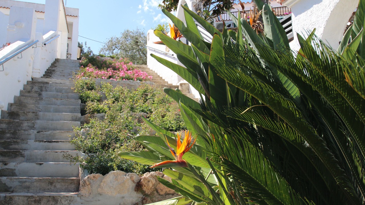 Photo of Outdoor in Miami Platja