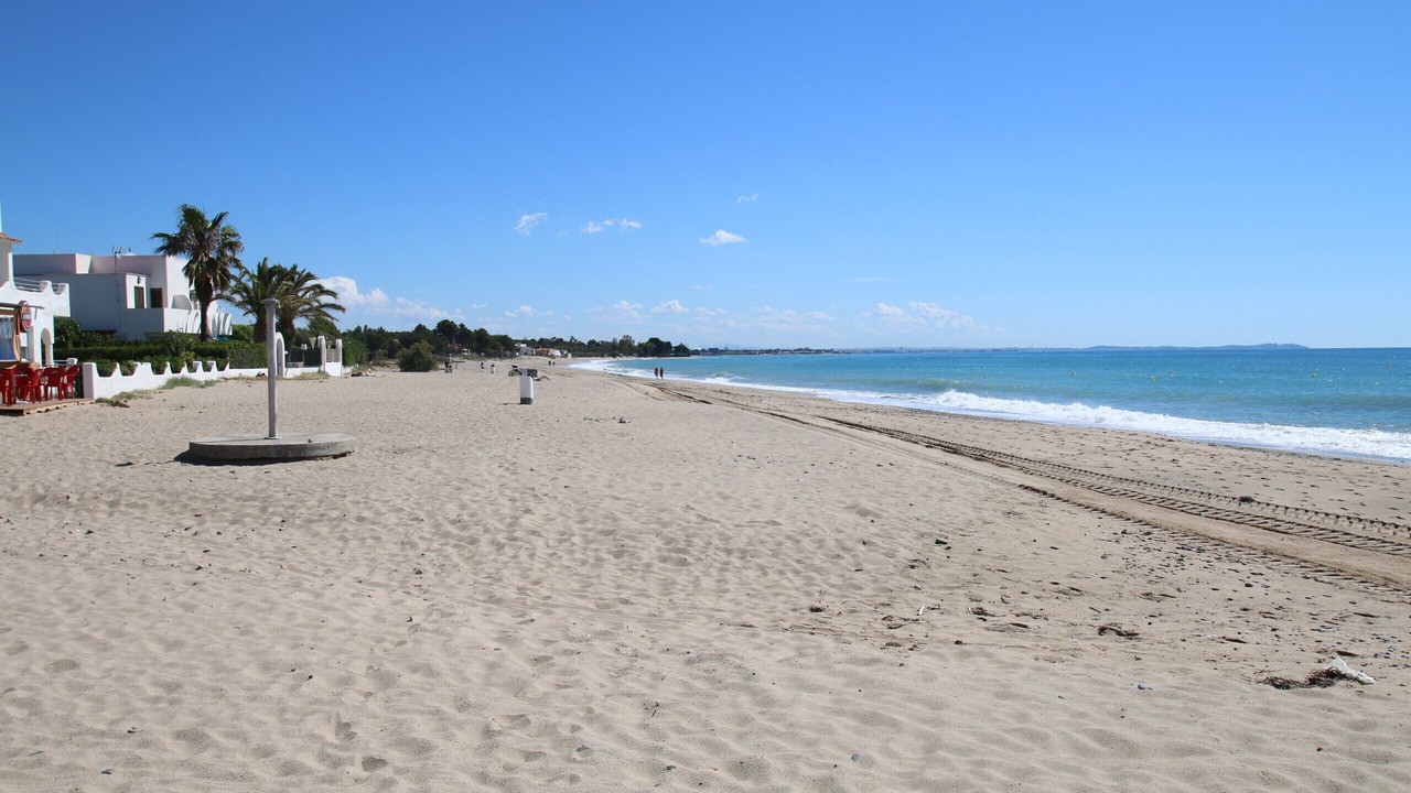 Photo of Others in Miami Platja