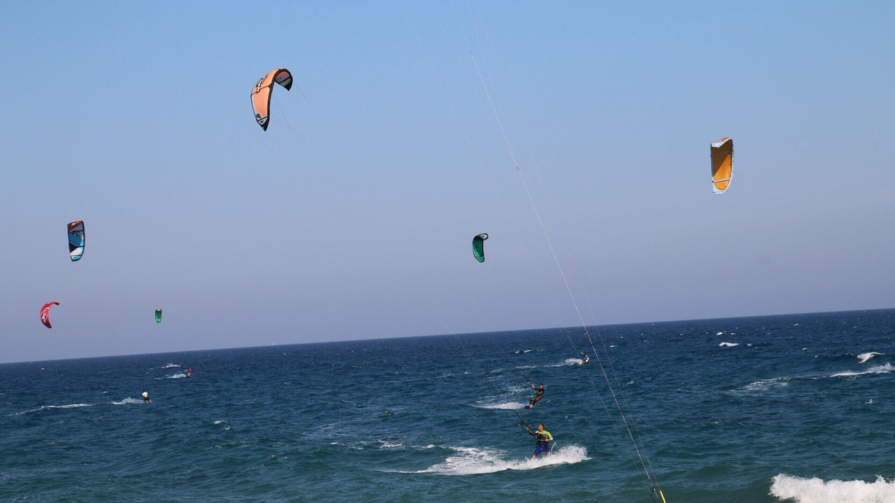 Photo of Others in Miami Platja