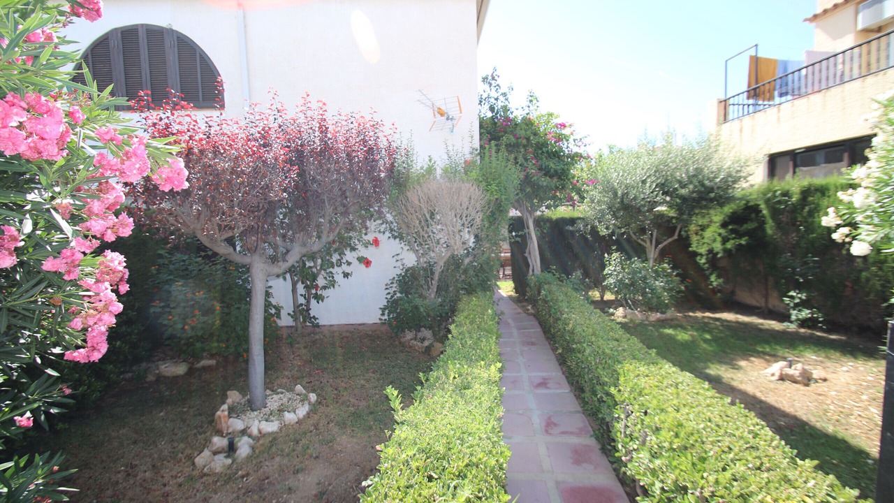 Photo of Outdoor in Miami Platja
