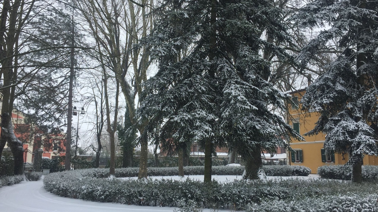 Photo of Outdoor in San Giorgio di Piano