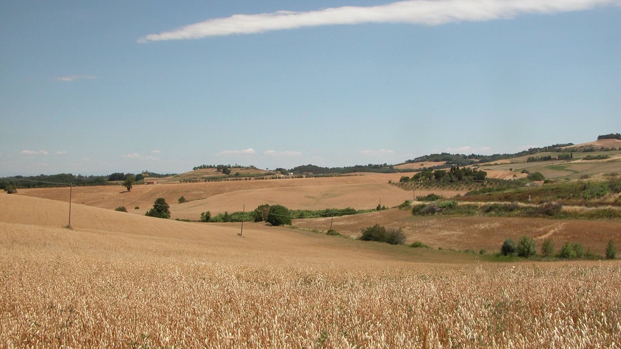 Photo of Others in Fauglia