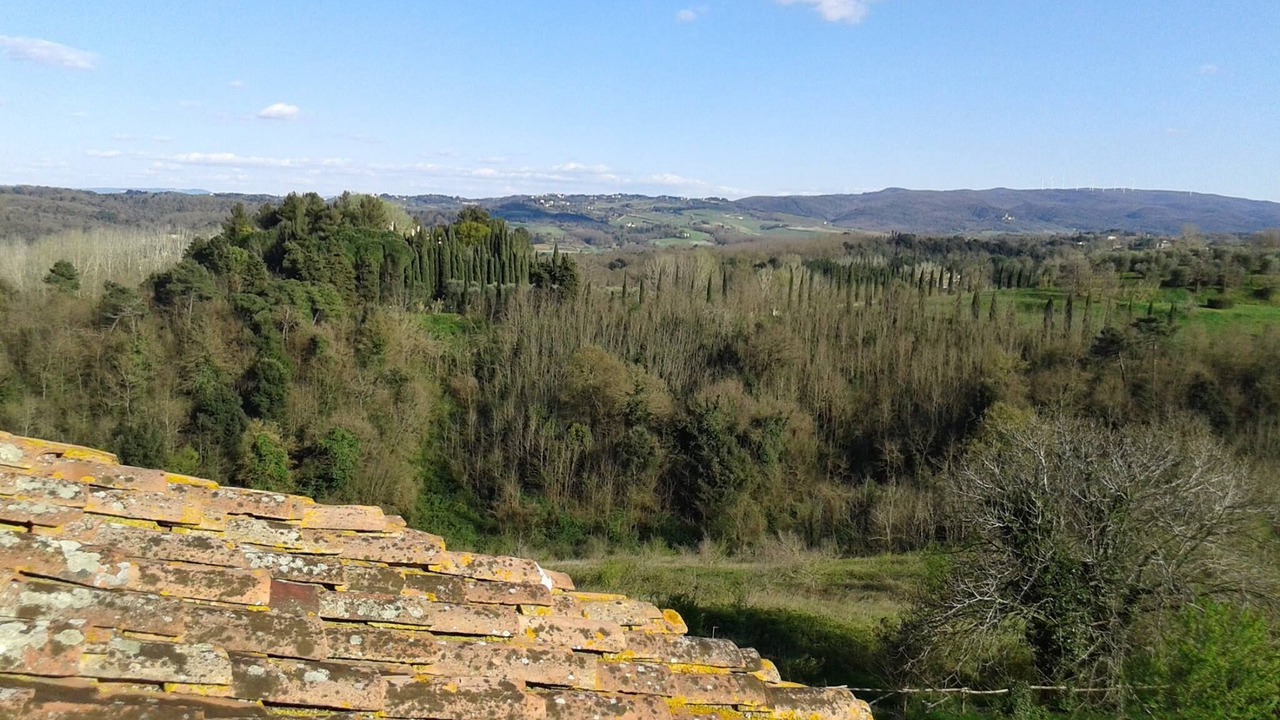 Photo of Outdoor in Fauglia