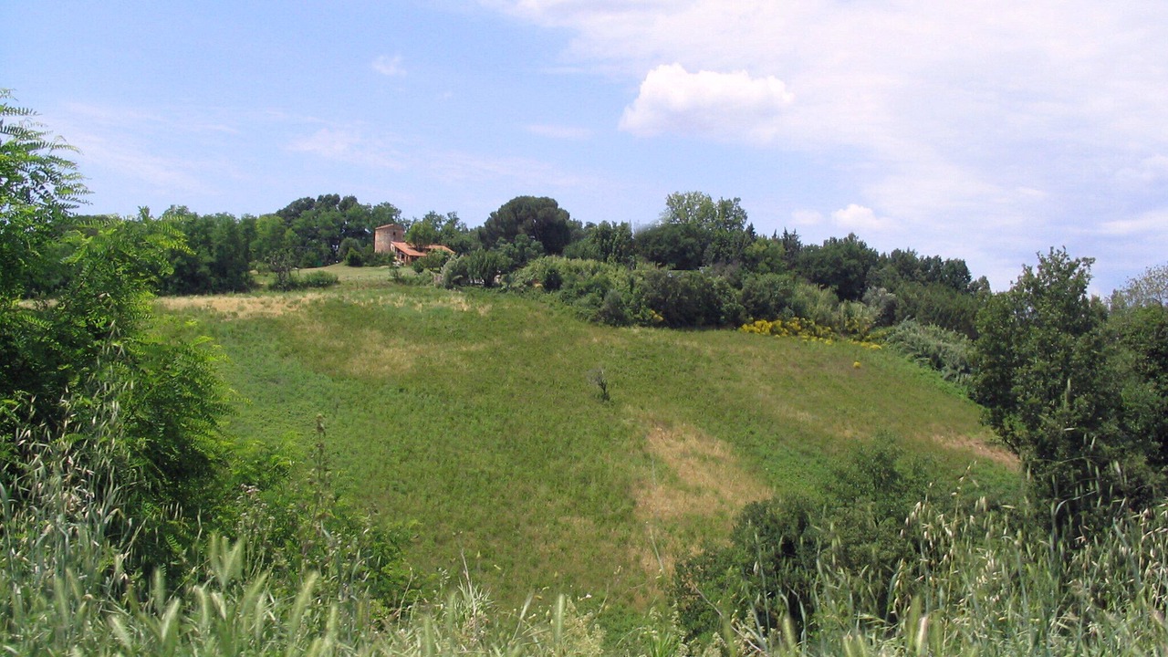 Photo of Others in Fauglia