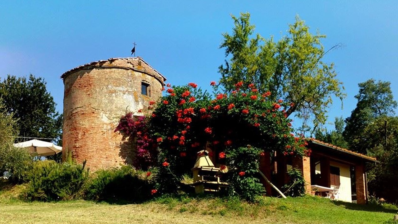 Photo of Outdoor in Fauglia