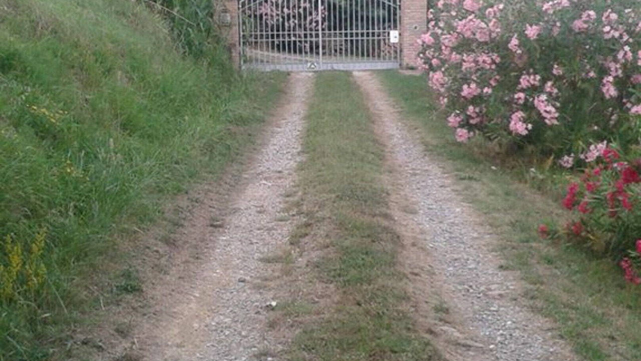 Photo of Outdoor in Fauglia