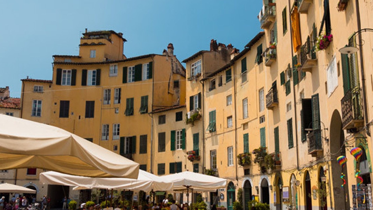 Photo of Outdoor in Fauglia