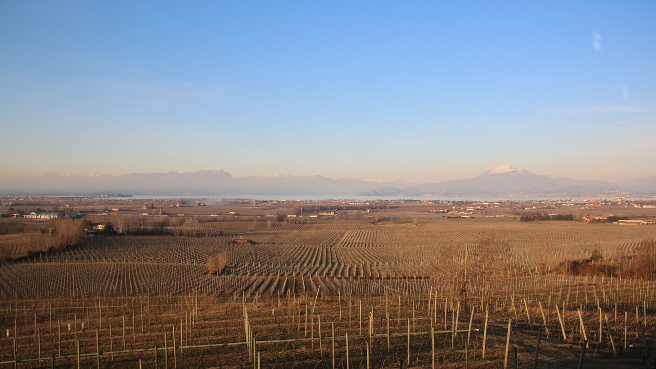Photo of Others in Pozzolengo