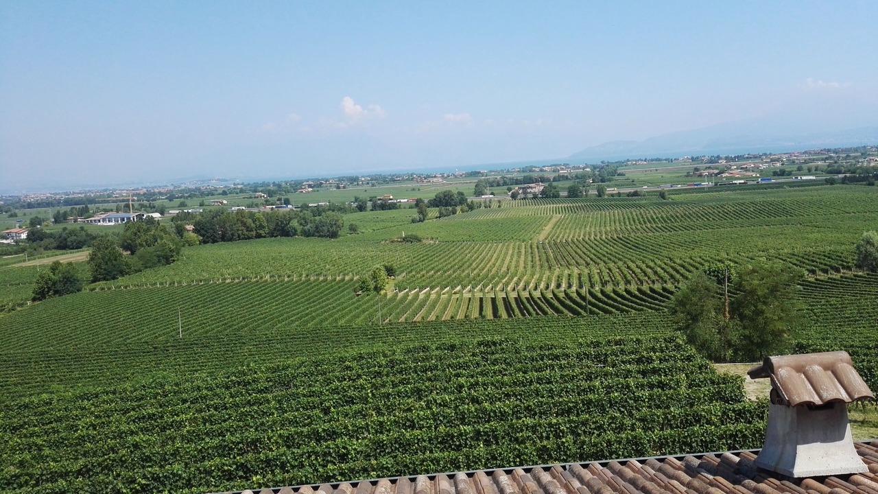 Photo of Others in Pozzolengo