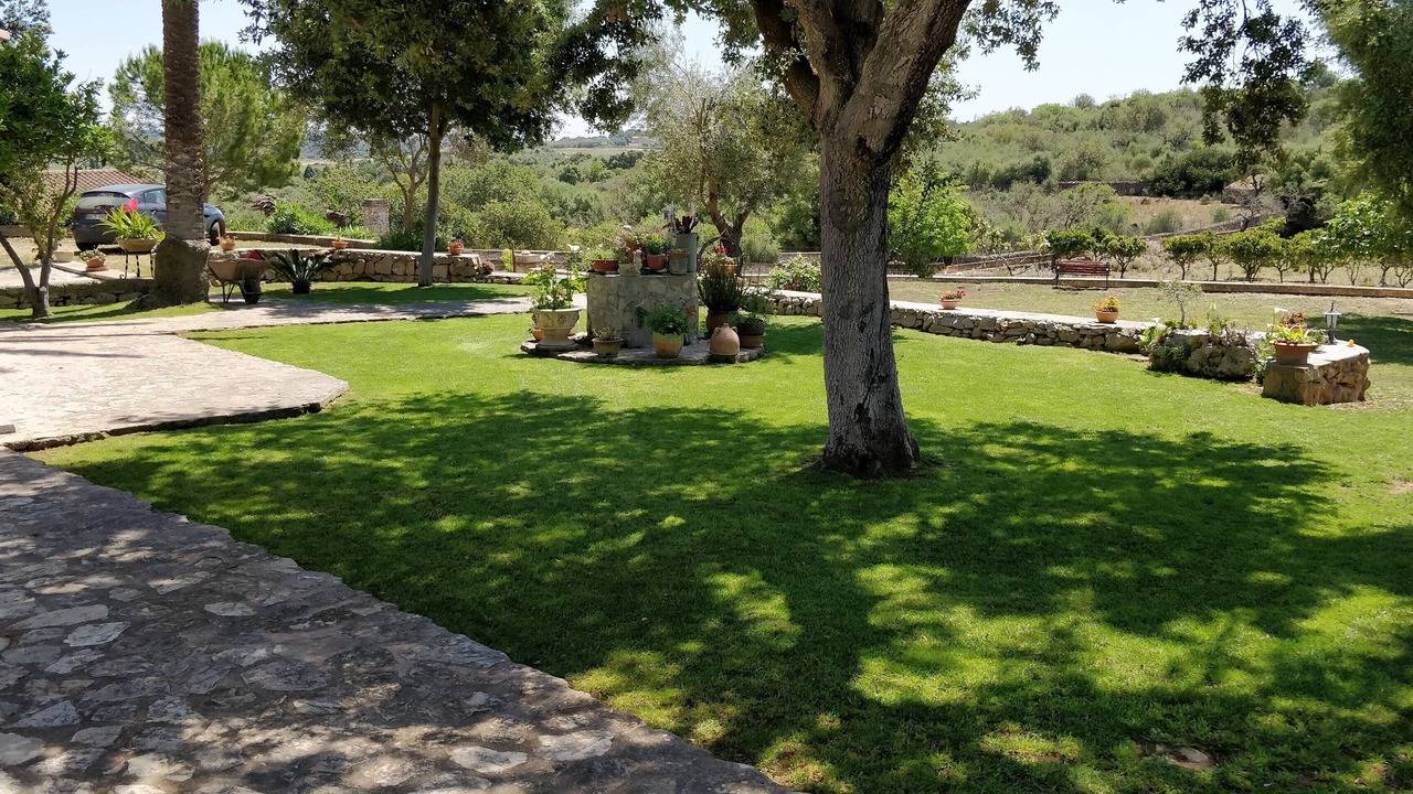 Photo of Outdoor in Manacor
