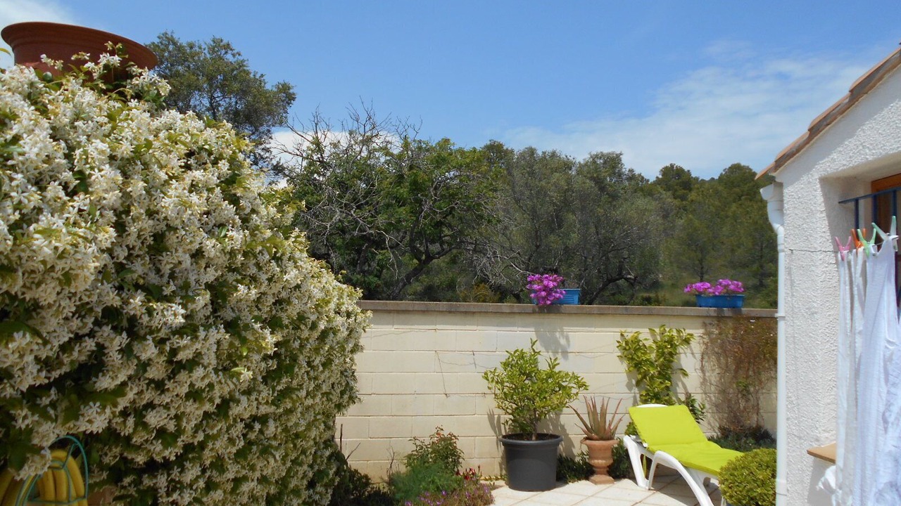 Photo of Patio Balcony in Torroella de Montgri