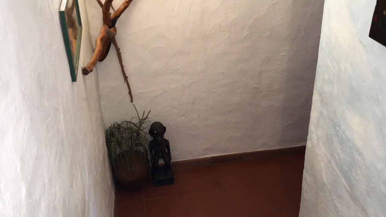 Photo of Others in Liscia di Vacca
