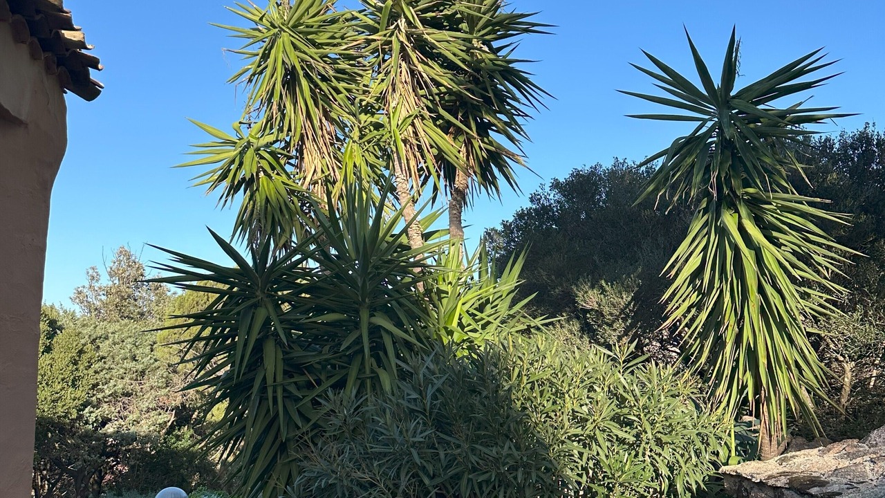 Photo of Outdoor in Liscia di Vacca
