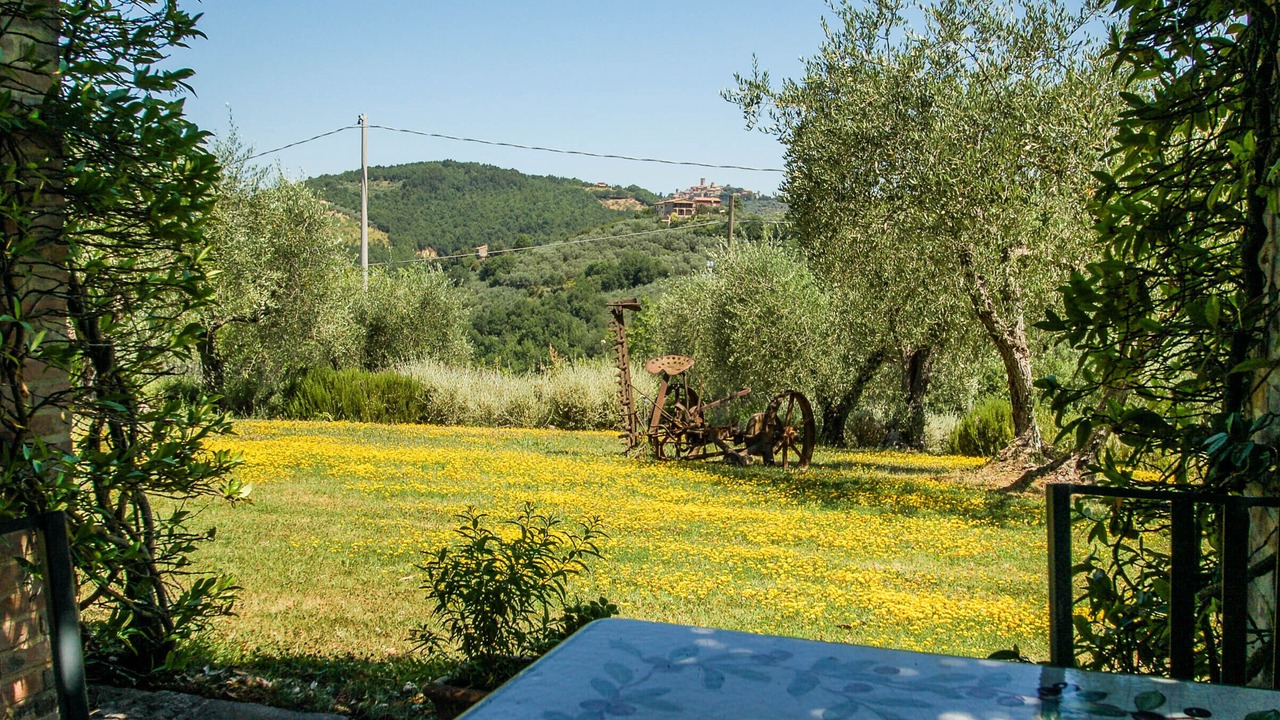 Photo of Outdoor in Pantalla