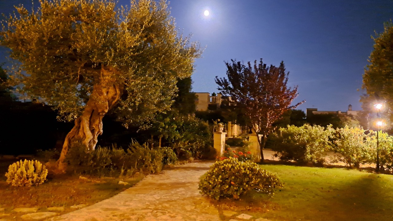 Photo of Outdoor in L'Assunta