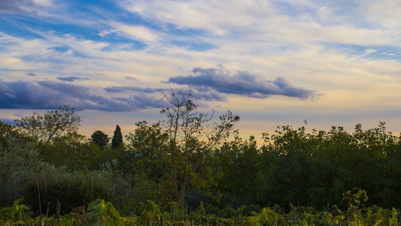 Photo of Outdoor in Reggello