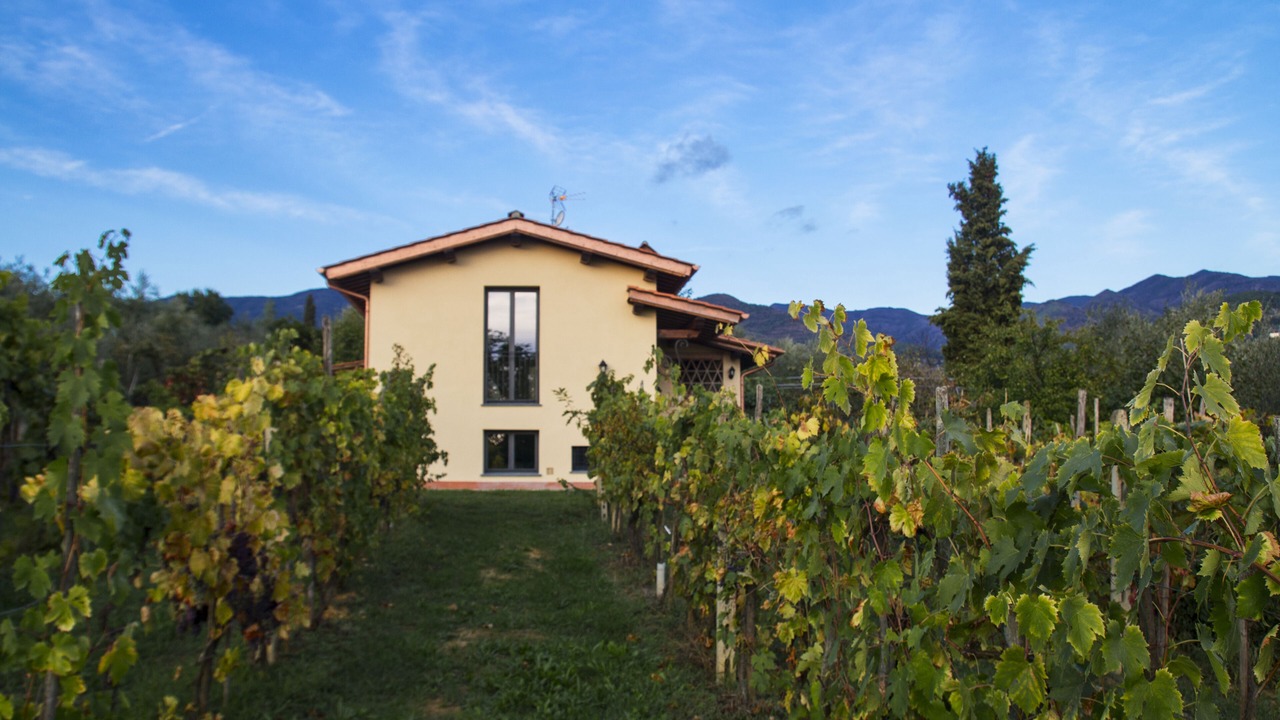Photo of Outdoor in Reggello