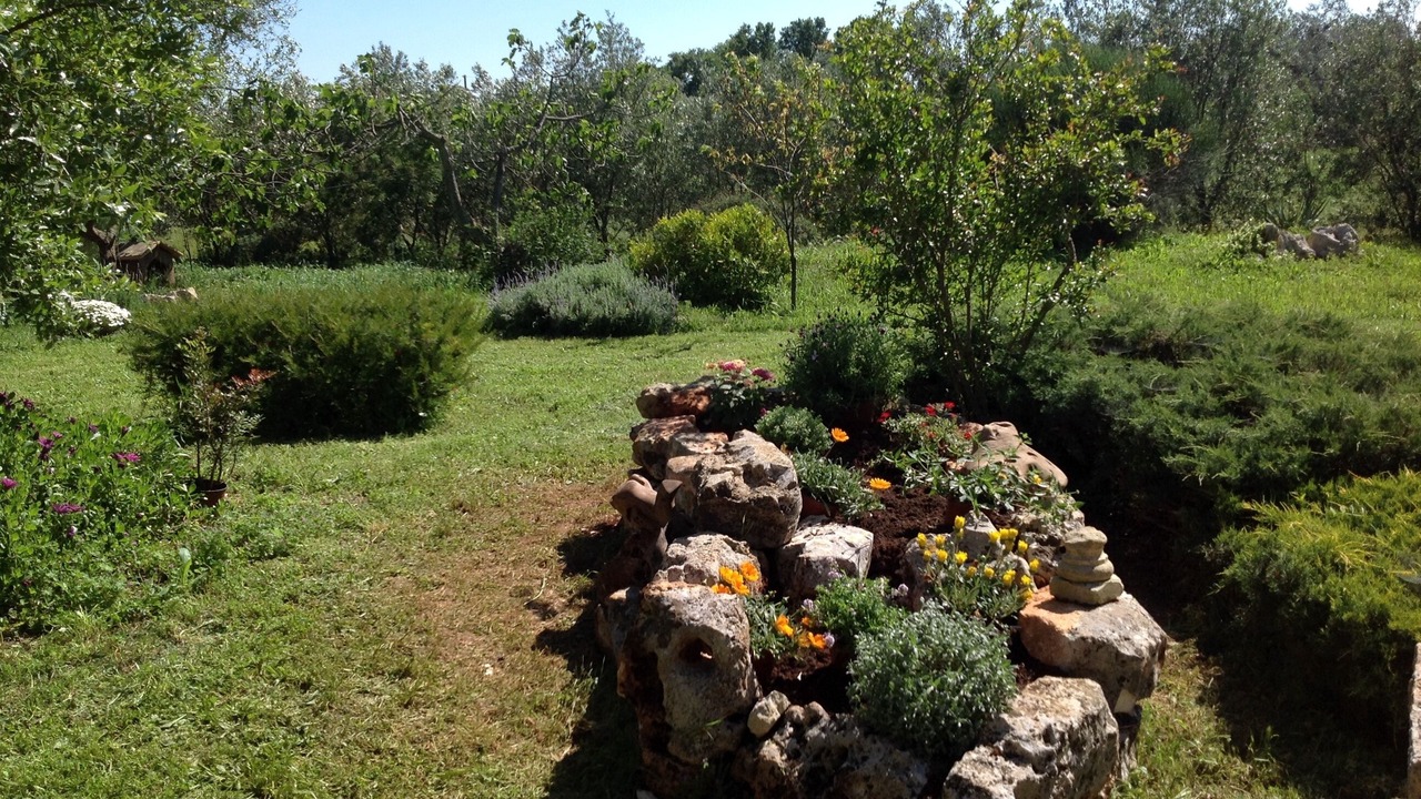 Photo of Outdoor in Specchiaruzzo