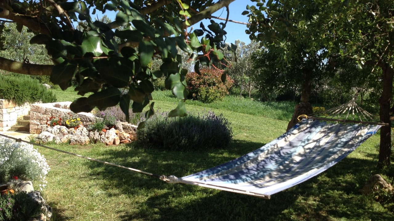 Photo of Outdoor in Specchiaruzzo