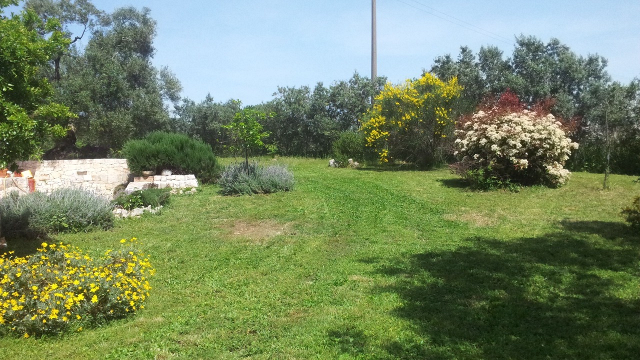 Photo of Outdoor in Specchiaruzzo
